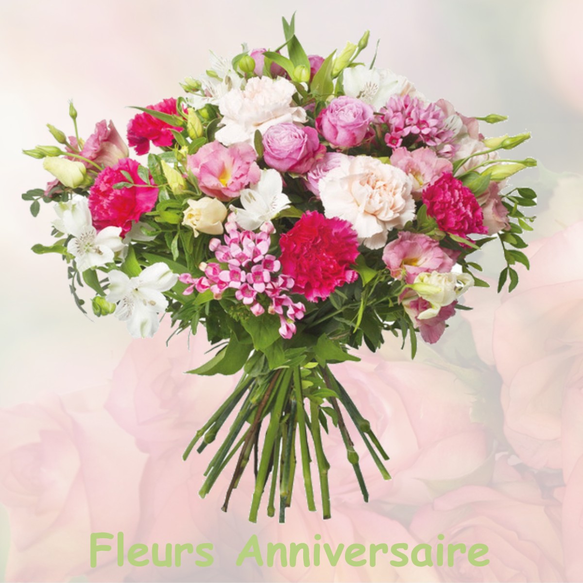 fleurs anniversaire VILLESENEUX